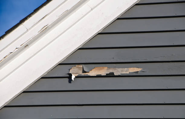 Best Weatherproofing and Sealing  in Druid Hills, GA
